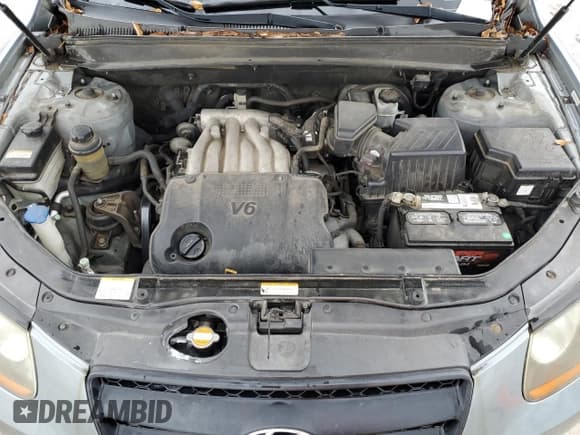 ✅ 2009 Hyundai Santa Fe GLS • VIN: 5NMSG13DX9H300909 • Lot: 79482844. Listed on Copart with 163,111 mi. Free auction sales archive from the USA and detailed vehicle history report at DreamBid. Image 12.