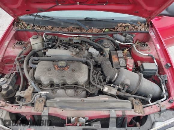 ✅ 2002 Ford Escort Fleet Standard • VIN: 3FAFP13P22R128270 • Lot: 42326518. Wystawiony na IAAI z przebiegiem 120 391 mil. Bezpłatny archiwum sprzedaży aukcyjnych z USA i szczegółowy raport historii pojazdu na DreamBid. Zdjęcie 10.