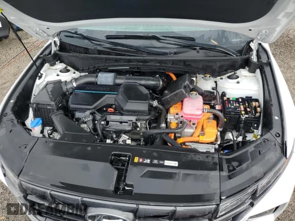 ✅ 2023 Hyundai Tucson SEL Convenience • VIN: KM8JFCA19PU098584 • Lot: 75315184. Wystawiony na Copart z przebiegiem 18 326 mil. Bezpłatny archiwum sprzedaży aukcyjnych z USA i szczegółowy raport historii pojazdu na DreamBid. Zdjęcie 12.