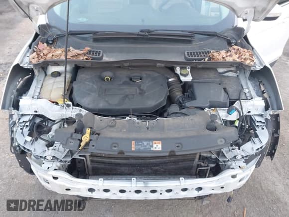 ✅ 2015 Ford Escape Titanium • VIN: 1FMCU9J97FUB69268 • Lot: 43748640. Listed on IAAI with 191,366 mi. Free auction sales archive from the USA and detailed vehicle history report at DreamBid. Image 10.