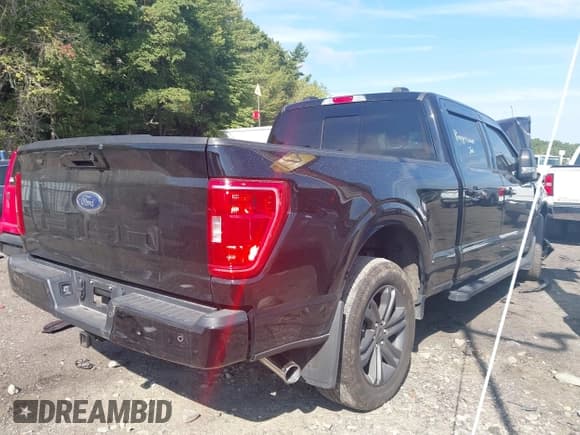 ✅ 2022 Ford F-150 Platinum • VIN: 1FTFW1E81NFC27876 • Lot: 43191339. Listed on IAAI with 42,006 mi. Free auction sales archive from the USA and detailed vehicle history report at DreamBid. Image 4.