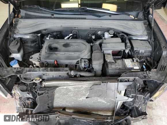 ✅ 2019 Hyundai Santa Fe Ultimate • VIN: 5NMS5CAD2KH001179 • Lot: 54681354. Wystawiony na Copart z przebiegiem 45 624 mil. Bezpłatny archiwum sprzedaży aukcyjnych z USA i szczegółowy raport historii pojazdu na DreamBid. Zdjęcie 14.