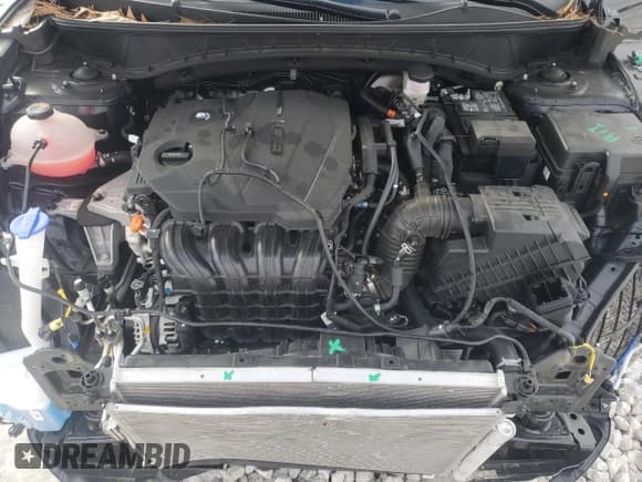 ✅ 2024 Hyundai Tucson SEL • VIN: 5NMJBCDE1RH312637 • Lot: 43717475. Wystawiony na Copart z przebiegiem 11 971 mil. Bezpłatny archiwum sprzedaży aukcyjnych z USA i szczegółowy raport historii pojazdu na DreamBid. Zdjęcie 11.