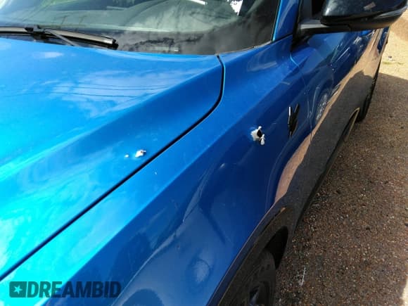 ✅ 2024 Dodge Hornet R/T • VIN: ZACPDFCW7R3A19925 • Lot: 43332757. Listed on IAAI with 14,298 mi. Free auction sales archive from the USA and detailed vehicle history report at DreamBid. Image 6.