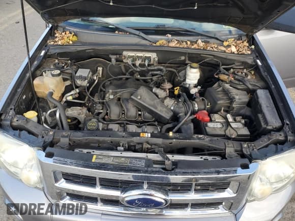 ✅ 2008 Ford Escape XLT • VIN: 1FMCU93148KB35794 • Lot: 91590575. Wystawiony na Copart z przebiegiem 163 888 mil. Bezpłatny archiwum sprzedaży aukcyjnych z USA i szczegółowy raport historii pojazdu na DreamBid. Zdjęcie 11.