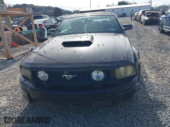 ✅ 2005 Ford Mustang GT Deluxe • VIN: 1ZVFT85H655183667 • Lot: 43827019. Listed on IAAI with 133,282 mi. Free auction sales archive from the USA and detailed vehicle history report at DreamBid. Image 12.