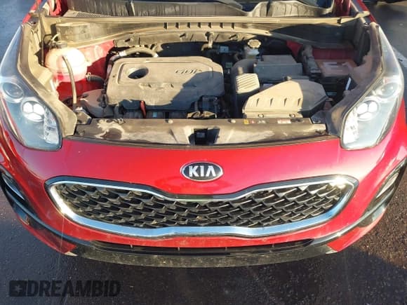 ✅ 2022 Kia Sportage LX • VIN: KNDPMCAC3N7024224 • Лот: 43768983. Опубликован ранее на IAAI с пробегом 51 005 миль. Бесплатный доступ к архиву аукционных продаж из США и подробный отчёт об истории автомобиля на DreamBid. Изображение 10.