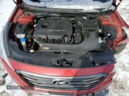 ✅ 2017 Hyundai Sonata Sport • VIN: 5NPE34AF4HH579242 • Lot: 42873743. Listed on Copart with 55,783 mi. Free auction sales archive from the USA and detailed vehicle history report at DreamBid. Image 11.