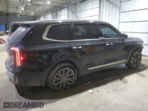 ✅ 2023 Kia Telluride SX Prestige • VIN: 5XYP5DGC7PG338443 • Лот: 42247525. Опубликован ранее на Copart с пробегом 37 337 миль. Бесплатный доступ к архиву аукционных продаж из США и подробный отчёт об истории автомобиля на DreamBid. Изображение 3.
