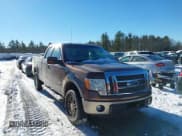 ✅ 2012 Ford F-150 XL • VIN: 1FTFX1ET6CFA98435 • Lot: 43827359. Listed on IAAI with 98,676 mi. Free auction sales archive from the USA and detailed vehicle history report at DreamBid. Image 1.