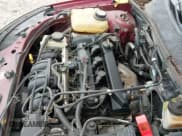 ✅ 2007 Ford Focus S • VIN: 1FAHP37N37W185191 • Lot: 42914882. Listed on IAAI with Not provided. Free auction sales archive from the USA and detailed vehicle history report at DreamBid. Image 12.