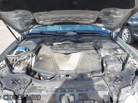 ✅ 2008 Mercedes-Benz E 320 • VIN: WDBUF22X08B324795 • Lot: 41773761. Wystawiony na IAAI z przebiegiem 249 975 mil. Bezpłatny archiwum sprzedaży aukcyjnych z USA i szczegółowy raport historii pojazdu na DreamBid. Zdjęcie 10.