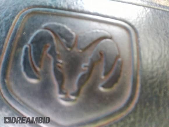 2001 Dodge 1500 with VIN 1B7HC16Y91S338533, listed as a IAAI auction lot 42418959 with 232,043 mi miles and . Bid and sale history available at DreamBid. Image 12.