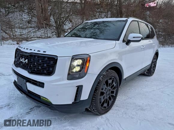 ✅ 2022 Kia Telluride SX • VIN: 5XYP5DHC0NG243928 • Lot: 96672665. Listed on Copart with 149,275 mi. Free auction sales archive from the USA and detailed vehicle history report at DreamBid. Image 1.