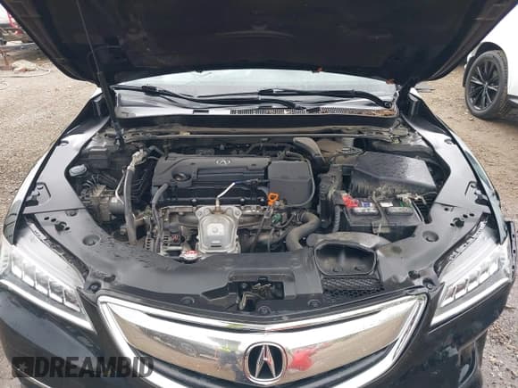 ✅ 2017 Acura TLX Technology • VIN: 19UUB1F59HA004236 • Lot: 42367384. Listed on IAAI with 73,474 mi. Free auction sales archive from the USA and detailed vehicle history report at DreamBid. Image 10.