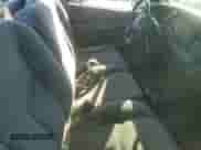 2004 Chevrolet Silverado 1500 Work Truck z VIN 1GCEK14V54Z244451, wystawiony jako Copart lot #75678194 z przebiegiem 81 721 mil mil oraz Szkoda całkowita • Salvage title. Historia ofert i sprzedaży dostępna na DreamBid. Obrazek 10.