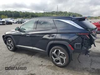 ✅ 2024 Hyundai Tucson Limited • VIN: 5NMJECDE4RH391566 • Lot: 73208984. Wystawiony na Copart z przebiegiem 9 074 mil. Bezpłatny archiwum sprzedaży aukcyjnych z USA i szczegółowy raport historii pojazdu na DreamBid. Zdjęcie 2.