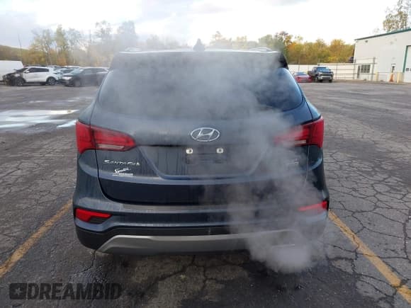 ✅ 2017 Hyundai Santa Fe 2.4L • VIN: 5NMZUDLB1HH018289 • Lot: 43513950. Wystawiony na IAAI z przebiegiem 111 768 mil. Bezpłatny archiwum sprzedaży aukcyjnych z USA i szczegółowy raport historii pojazdu na DreamBid. Zdjęcie 16.