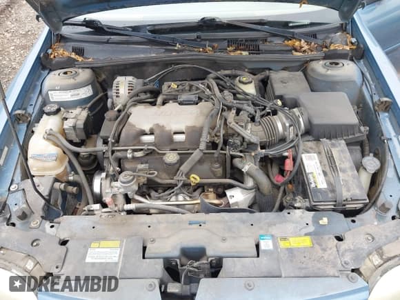 ✅ 1999 Oldsmobile Cutlass GL • VIN: 1G3NB52J1X6320759 • Lot: 42704934. Listed on IAAI with 155,123 mi. Free auction sales archive from the USA and detailed vehicle history report at DreamBid. Image 10.