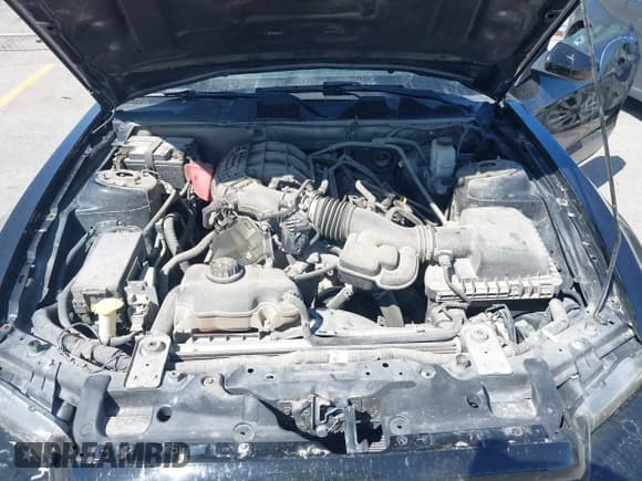 ✅ 2014 Ford Mustang V6 • VIN: 1ZVBP8AM7E5308634 • Lot: 43073553. Listed on IAAI with 186,126 mi. Free auction sales archive from the USA and detailed vehicle history report at DreamBid. Image 10.