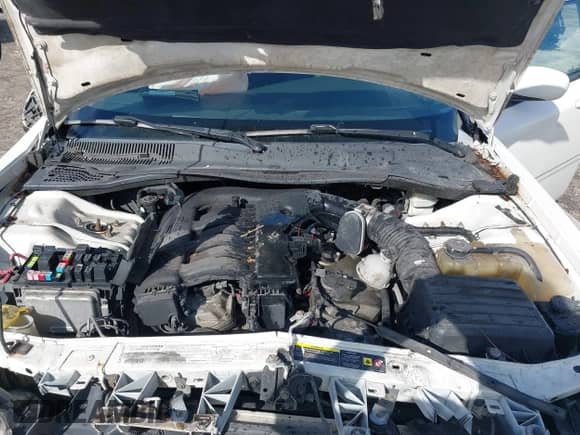 2006 Dodge Magnum с VIN 2D4FV47V06H446788, выставлен на аукционе IAAI как лот 41571984 с пробегом 244 231 миль миль и . История ставок и продаж доступна на DreamBid. Изображение 10.