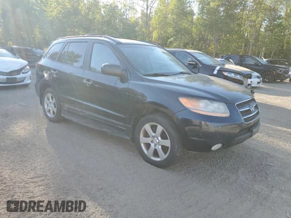 ✅ 2008 Hyundai Santa Fe SE • VIN: 5NMSH73E58H182632 • Lot: 80477245. Listed on Copart with 298,829 mi. Free auction sales archive from the USA and detailed vehicle history report at DreamBid. Image 4.