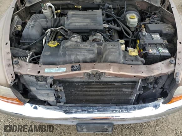 ✅ 2000 Dodge Dakota Sport • VIN: 1B7GG22N0YS701801 • Lot: 80586704. Wystawiony na Copart z przebiegiem 208 181 mil. Bezpłatny archiwum sprzedaży aukcyjnych z USA i szczegółowy raport historii pojazdu na DreamBid. Zdjęcie 11.