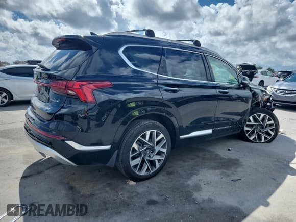 ✅ 2022 Hyundai Santa Fe Calligraphy • VIN: 5NMS5DAL9NH448853 • Lot: 85154805. Listed on Copart with 46,082 mi. Free auction sales archive from the USA and detailed vehicle history report at DreamBid. Image 3.