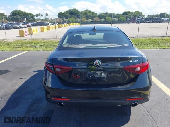 ✅ 2018 Alfa Romeo Giulia • VIN: ZARFAEBN1J7580516 • Lot: 43643110. Listed on IAAI with 49,503 mi. Free auction sales archive from the USA and detailed vehicle history report at DreamBid. Image 17.