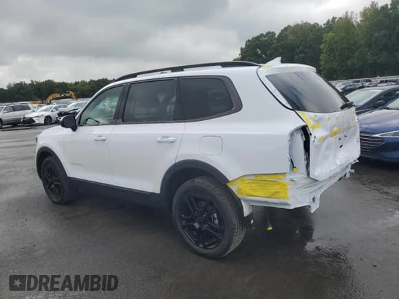 ✅ 2025 Kia Telluride SX-Prestige X-Line • VIN: 5XYP5DGCXSG636929 • Lot: 80547675. Listed on Copart with 4,372 mi. Free auction sales archive from the USA and detailed vehicle history report at DreamBid. Image 2.