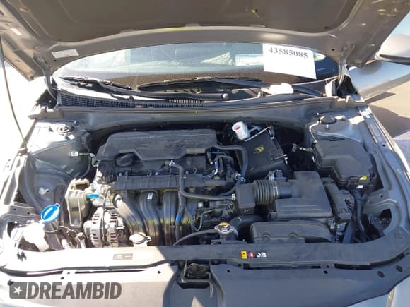 ✅ 2025 Hyundai Elantra SEL Convenience • VIN: KMHLS4DG8SU870687 • Лот: 43585085. Опубликован ранее на IAAI с пробегом 30 077 миль. Бесплатный доступ к архиву аукционных продаж из США и подробный отчёт об истории автомобиля на DreamBid. Изображение 10.