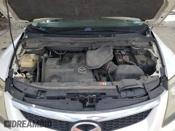 ✅ 2009 Mazda CX-9 Sport • VIN: JM3TB38V490164669 • Lot: 61768615. Wystawiony na Copart z przebiegiem 208 166 mil. Bezpłatny archiwum sprzedaży aukcyjnych z USA i szczegółowy raport historii pojazdu na DreamBid. Zdjęcie 12.