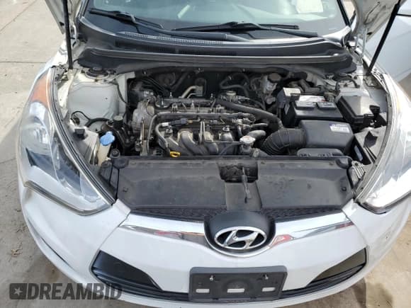 ✅ 2017 Hyundai Veloster Value Edition • VIN: KMHTC6ADXHU323836 • Lot: 46752225. Wystawiony na Copart z przebiegiem 171 428 mil. Bezpłatny archiwum sprzedaży aukcyjnych z USA i szczegółowy raport historii pojazdu na DreamBid. Zdjęcie 11.