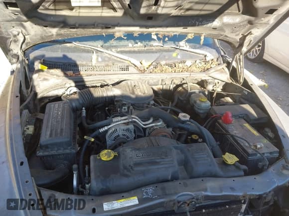 ✅ 2002 Dodge Dakota • VIN: 1B7FL16XX2S612502 • Lot: 43626215. Wystawiony na IAAI z przebiegiem 159 263 mil. Bezpłatny archiwum sprzedaży aukcyjnych z USA i szczegółowy raport historii pojazdu na DreamBid. Zdjęcie 10.