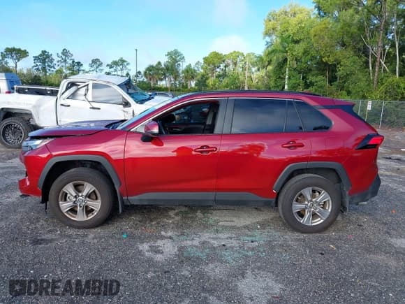 ✅ 2025 Toyota RAV4 XLE • VIN: 2T3W1RFV1SW384352 • Lot: 43534586. Listed on IAAI with 17,543 mi. Free auction sales archive from the USA and detailed vehicle history report at DreamBid. Image 14.