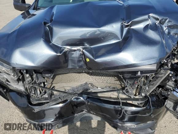 2021 Chevrolet Silverado 1500 LT Trail Boss with VIN 1GCPYFED7MZ212269, listed as a Copart auction lot 86653785 with 113,366 mi miles and Salvage title. Bid and sale history available at DreamBid. Image 11.