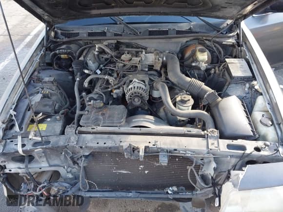 ✅ 1999 Ford Crown Victoria Police • VIN: 2FAFP71W9XX187581 • Лот: 41522223. Опубликован ранее на IAAI с пробегом 94 889 миль. Бесплатный доступ к архиву аукционных продаж из США и подробный отчёт об истории автомобиля на DreamBid. Изображение 10.