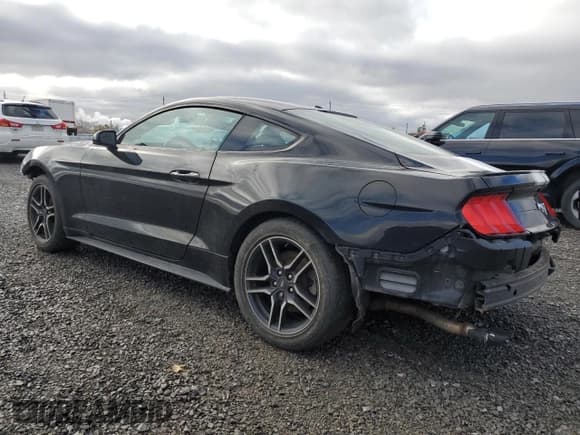 ✅ 2019 Ford Mustang EcoBoost • VIN: 1FA6P8TH4K5172906 • Lot: 91286965. Wystawiony na Copart z przebiegiem 123 060 mil. Bezpłatny archiwum sprzedaży aukcyjnych z USA i szczegółowy raport historii pojazdu na DreamBid. Zdjęcie 2.