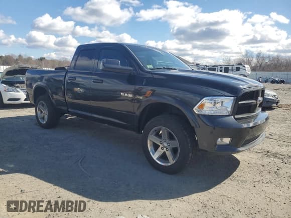 ✅ 2010 Dodge 1500 SLT • VIN: 1D7RV1GT0AS173804 • Lot: 49714605. Wystawiony na Copart z przebiegiem 125 558 mil. Bezpłatny archiwum sprzedaży aukcyjnych z USA i szczegółowy raport historii pojazdu na DreamBid. Zdjęcie 4.