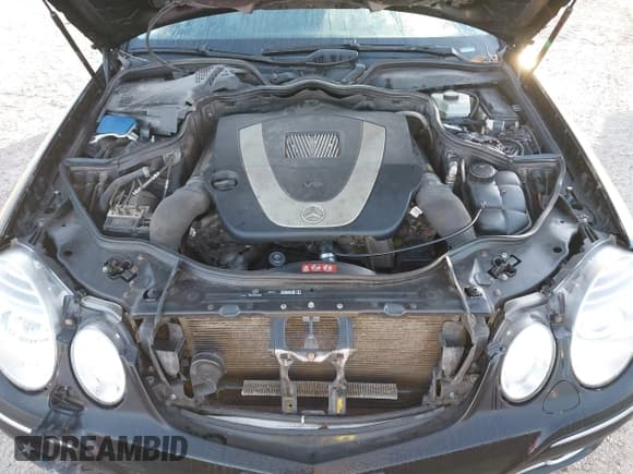 ✅ 2008 Mercedes-Benz E 350 Luxury • VIN: WDBUF56X58B265495 • Lot: 43700496. Wystawiony na IAAI z przebiegiem Nie podano. Bezpłatny archiwum sprzedaży aukcyjnych z USA i szczegółowy raport historii pojazdu na DreamBid. Zdjęcie 10.