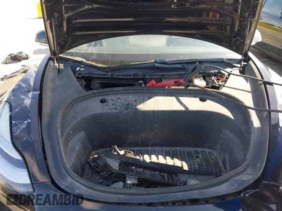 ✅ 2020 Tesla Model 3 Standard Range Plus • VIN: 5YJ3E1EAXLF797613 • Lot: 43816185. Wystawiony na IAAI z przebiegiem 129 942 mil. Bezpłatny archiwum sprzedaży aukcyjnych z USA i szczegółowy raport historii pojazdu na DreamBid. Zdjęcie 10.