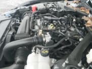 ✅ 2024 Ford Mustang EcoBoost Premium • VIN: 1FAGP8UH2R5110708 • Lot: 43757999. Wystawiony na IAAI z przebiegiem 3 832 mil. Bezpłatny archiwum sprzedaży aukcyjnych z USA i szczegółowy raport historii pojazdu na DreamBid. Zdjęcie 20.