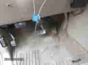 2006 Chevrolet Silverado 3500 SRW Wrk Trk with VIN 1GCHK33D56F148342, listed as a IAAI auction lot 43313976 with 227,064 mi miles and . Bid and sale history available at DreamBid. Image 11.