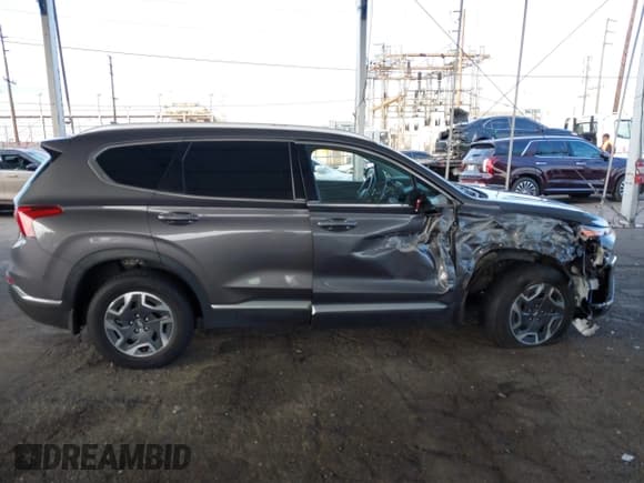 ✅ 2021 Hyundai Santa Fe Blue • VIN: KM8S2DA12MU006345 • Lot: 41505836. Listed on IAAI with 96,446 mi. Free auction sales archive from the USA and detailed vehicle history report at DreamBid. Image 13.