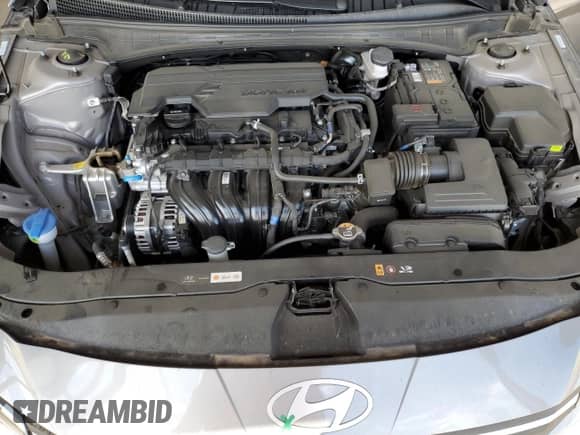2025 Hyundai Elantra SE с VIN KMHLL4DG5SU009495, выставлен на аукционе Copart как лот 81120625 с пробегом 7 739 миль миль и Списание • Salvage title. История ставок и продаж доступна на DreamBid. Изображение 11.