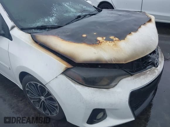 ✅ 2016 Toyota Corolla LE • VIN: 2T1BURHE8GC718185 • Lot: 43565159. Wystawiony na IAAI z przebiegiem Nie podano. Bezpłatny archiwum sprzedaży aukcyjnych z USA i szczegółowy raport historii pojazdu na DreamBid. Zdjęcie 12.