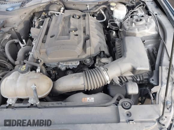 ✅ 2015 Ford Mustang EcoBoost • VIN: 1FA6P8TH4F5396389 • Lot: 43744946. Wystawiony na IAAI z przebiegiem 100 111 mil. Bezpłatny archiwum sprzedaży aukcyjnych z USA i szczegółowy raport historii pojazdu na DreamBid. Zdjęcie 10.