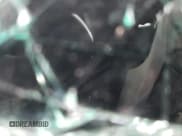 ✅ 2017 Ford Mustang V6 • VIN: 1FATP8EM3H5286921 • Lot: 86820494. Listed on Copart with Not provided. Free auction sales archive from the USA and detailed vehicle history report at DreamBid. Image 9.