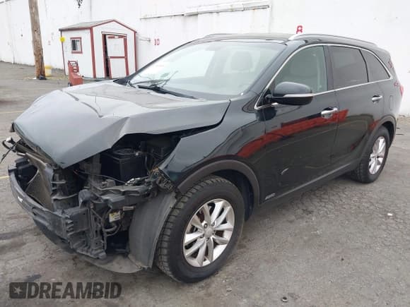 ✅ 2017 Kia Sorento LX • VIN: 5XYPGDA3XHG302704 • Lot: 43189402. Listed on IAAI with 92,177 mi. Free auction sales archive from the USA and detailed vehicle history report at DreamBid. Image 19.