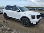 ✅ 2025 Kia Telluride SX X-Line • VIN: 5XYP5DGC0SG615829 • Lot: 54059675. Wystawiony na Copart z przebiegiem 5 337 mil. Bezpłatny archiwum sprzedaży aukcyjnych z USA i szczegółowy raport historii pojazdu na DreamBid. Zdjęcie 4.